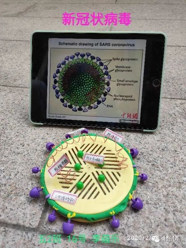用身边现有的材料制作新型冠状病毒结构模型 绘画"防疫"海报