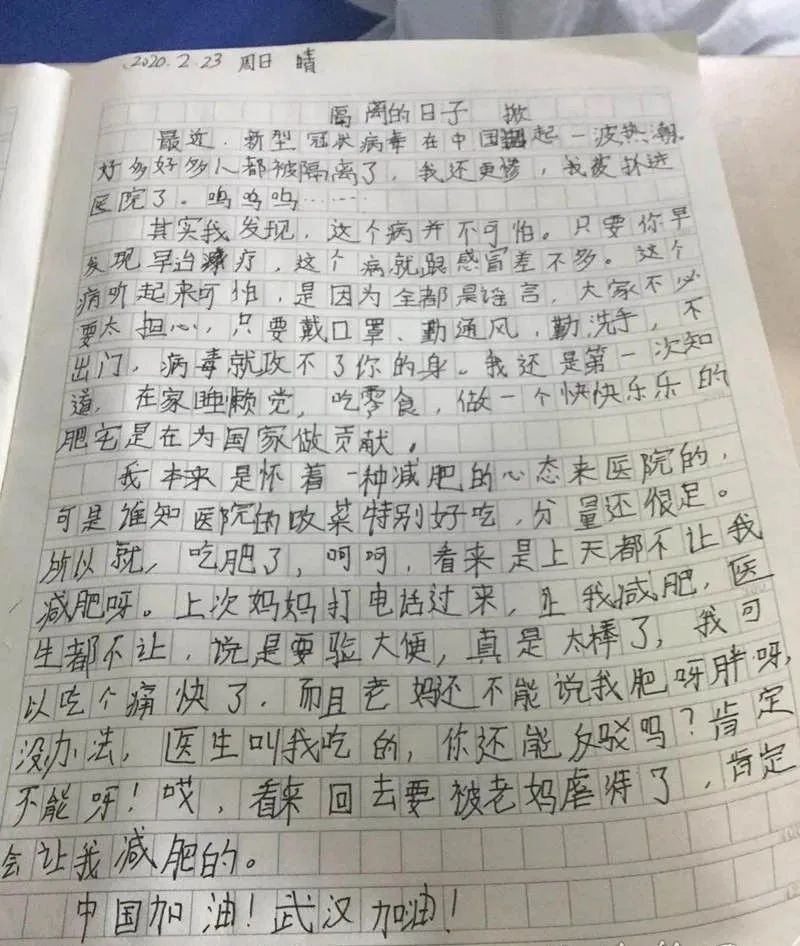 黄陂小学生写"疗毒"日记 乐观勇敢面对疫情