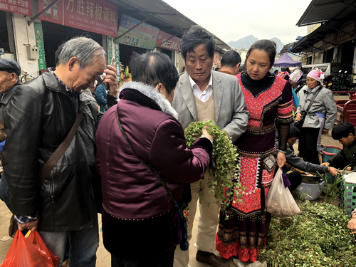 云南文山苗药企业的抗疫风采