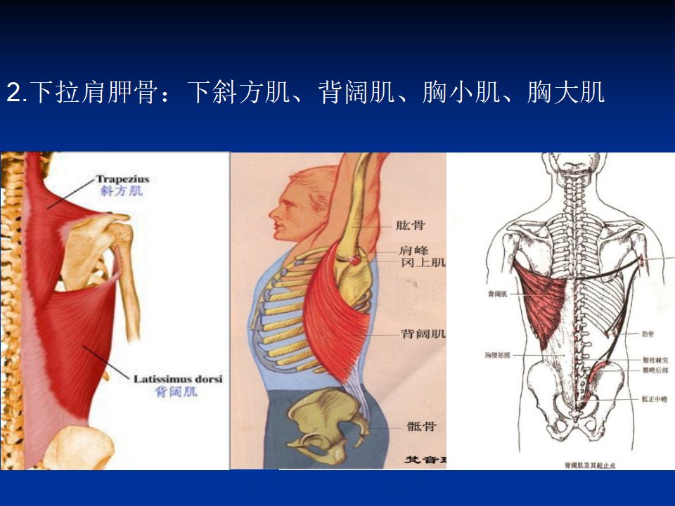 肩周炎针刀诊疗( 体表定位)