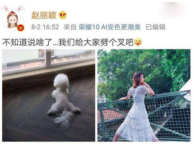 谢娜也学赵丽颖?晒劈叉动图否认怀二胎,调侃网传照片太夸张