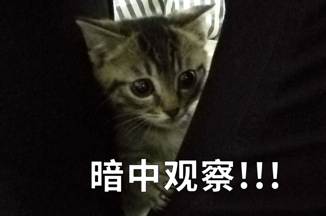 浙江又提前“交卷”！求求你 等等别人吧