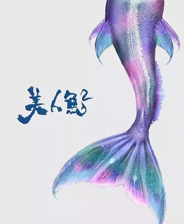 男生怎样变成美人鱼 f4ea9403e0d54d219ba864a83861855b.jpeg