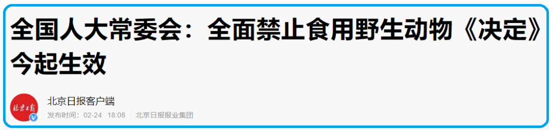 周小平：全面禁食野味决定生效！但海鲜怎么办