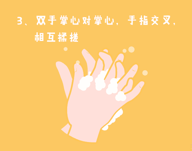 金牛教育全劳动我能行之科学防疫