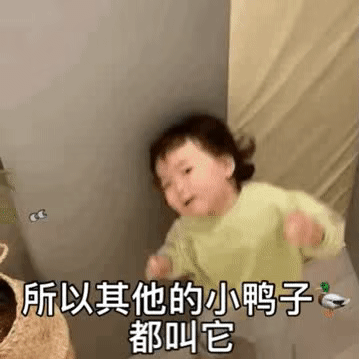 所以,其他的小鸭子都叫它