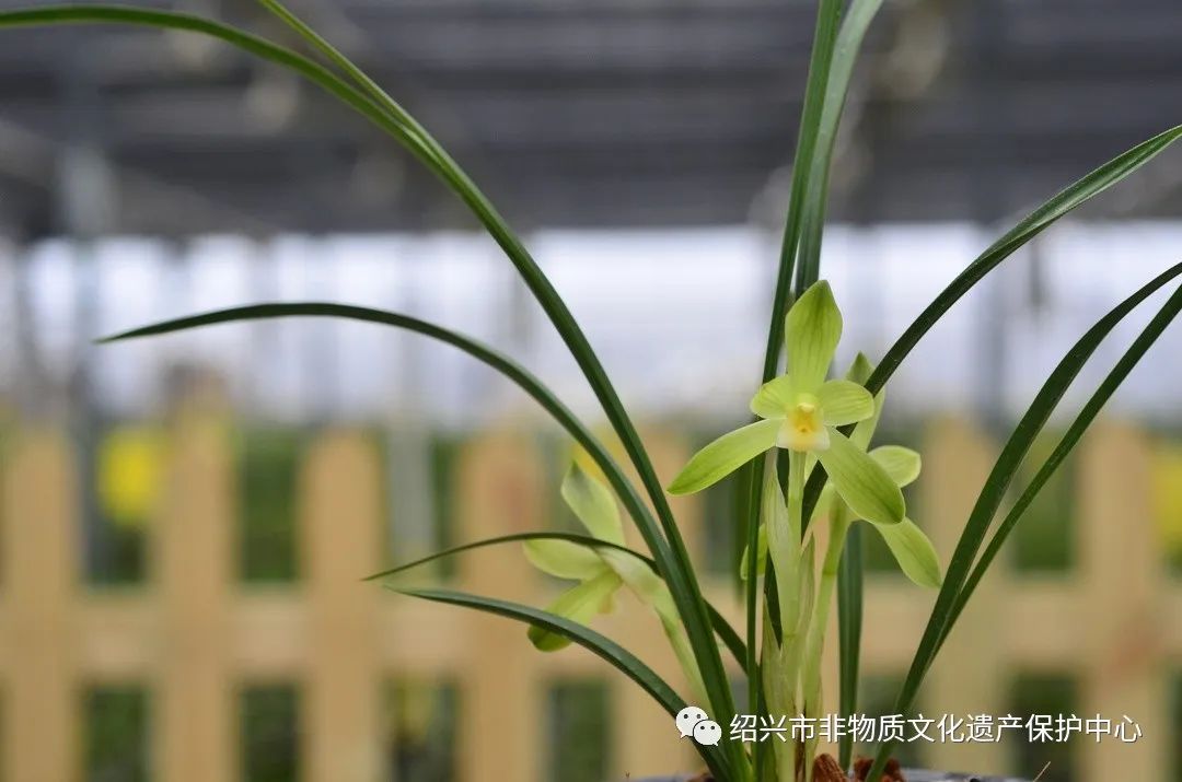 四角花架cad平面图