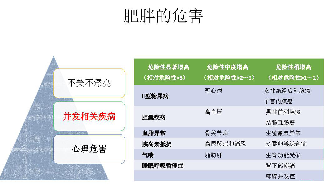 肥胖的基础知识part 1(每日更新—肥胖的危害_疾病