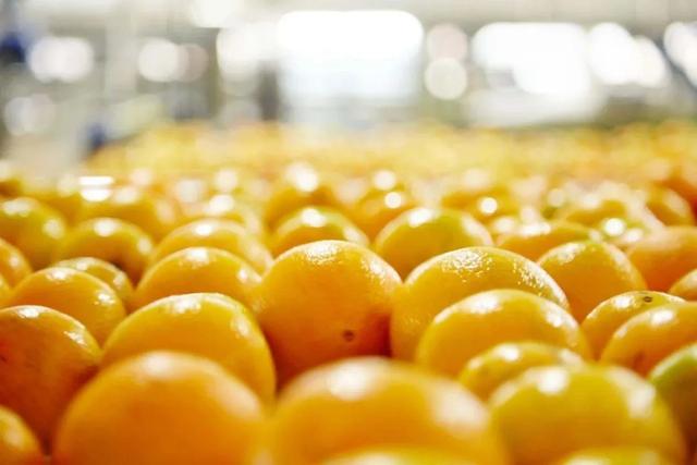 农夫山泉17.5°橙是如何塑造品牌形象的?(图1)