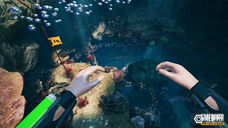水下VR冒险游戏《FREEDIVER》发布Quest和PSVR版_Triton