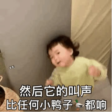 然后它的叫声比任何小鸭子都响