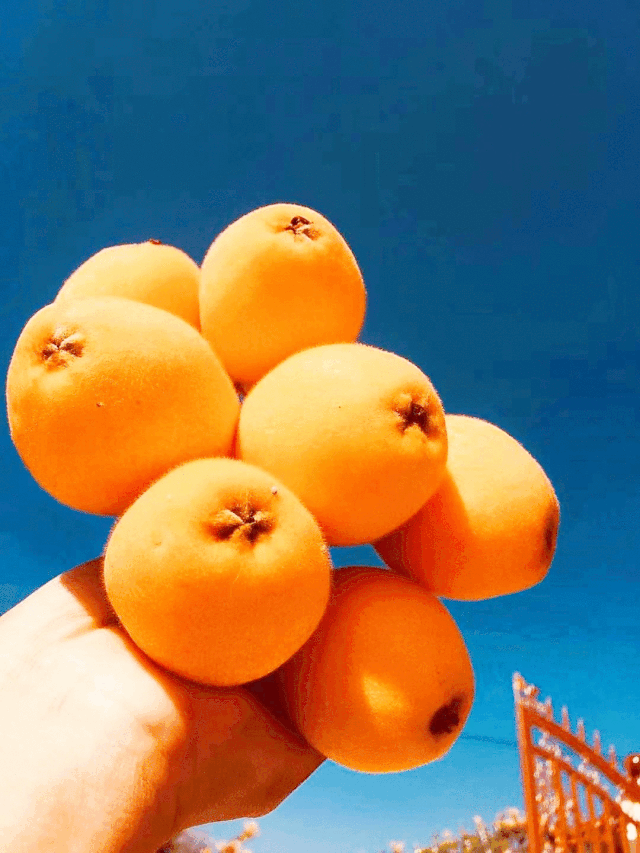 640_853竖版 竖屏gif 动态图 动图