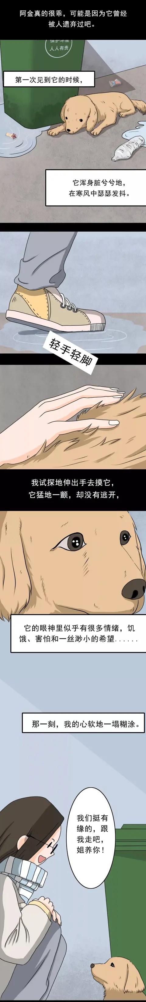 漫画:宠物狗狗