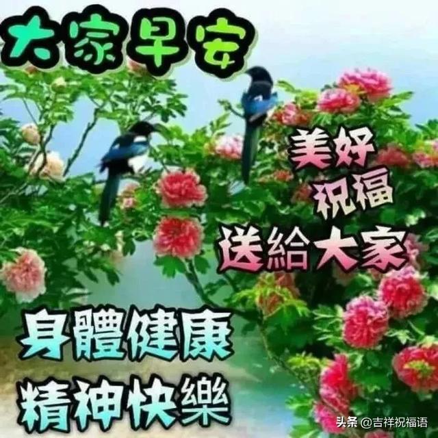 2020特别漂亮的温馨早安问候语图片 最好看早上好表情