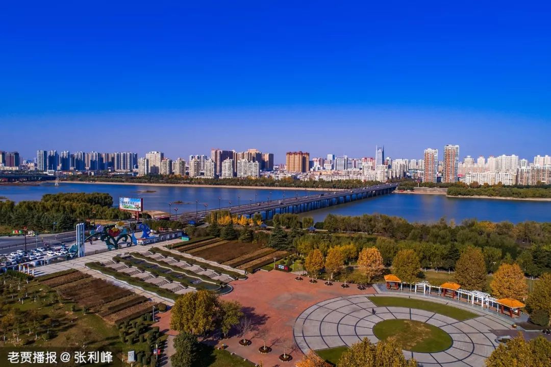 洛阳凭实力上榜.