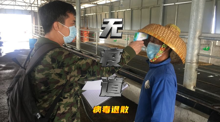 "疫"海豪情之你今天测温了吗?