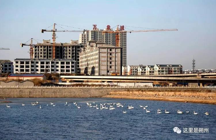 图集 朔州丨中国候鸟故乡—朔州_桑干河