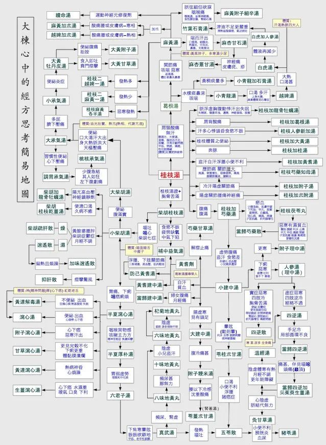 倪海厦弟子林大栋亲传中医网课,限时免费领!