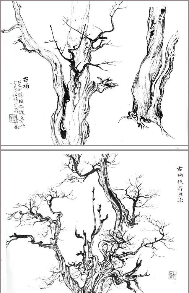 中国画-初学山水的学习资料画树课徒稿分享