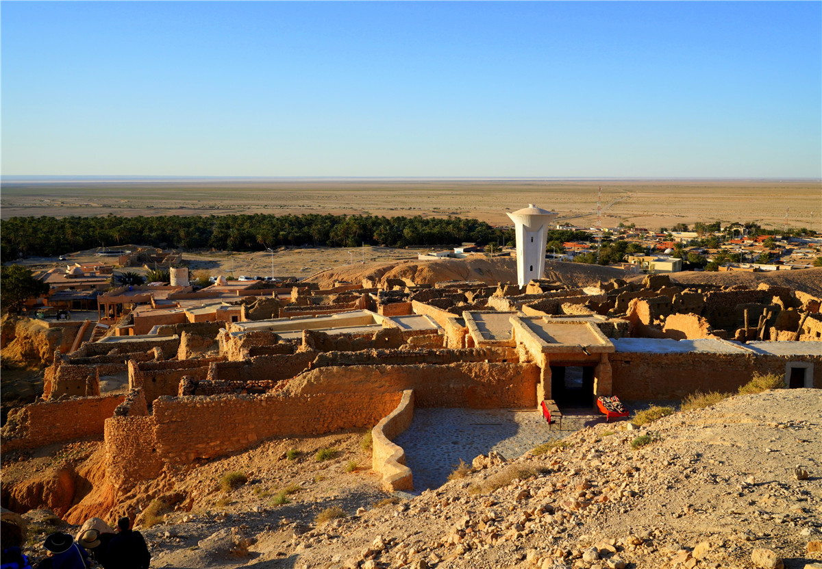石山羊和突尼斯的绿洲 库存图片. 图片 包括有 特征, 叶子, 岩石, 撒哈拉大沙漠, 冷静, 横向, 颜色 - 190900275
