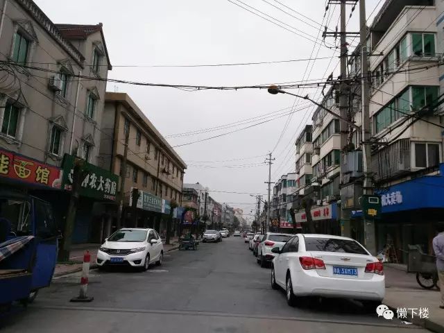 海宁丨周王庙:条条大路通这里!