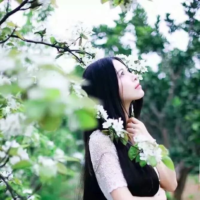 你安好,我无恙,岁月就会花开