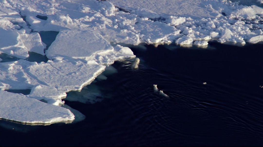 南极“发烧”了，未来该何去何从？
