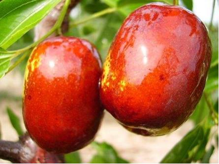 ˯�����γ�ʲô����Щʳ��ͷ���������������˯����