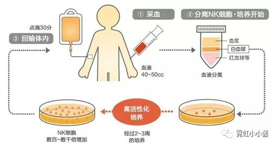 原创抗病和抗衰傻傻分不清干细胞和nk免疫细胞的区别日本医疗