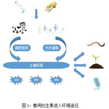 抗疫有我助你前行科普篇抗生素对土壤环境的影响