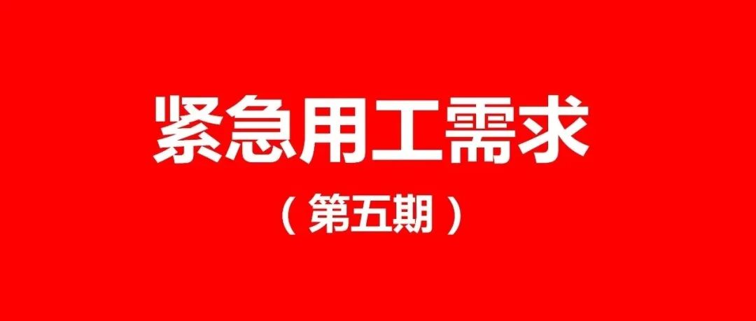 永嘉招聘_温州永嘉农商银行招聘启事(2)