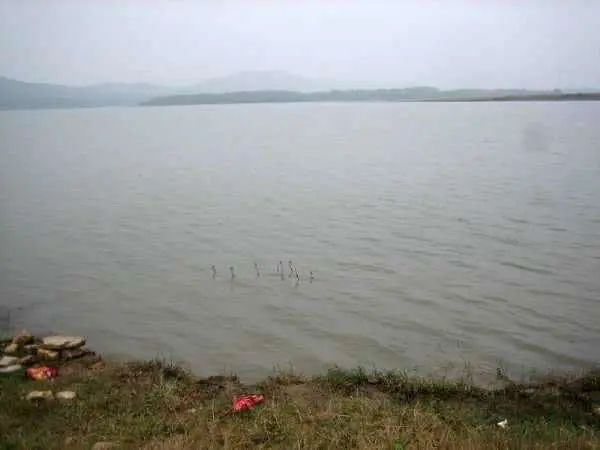 为什么钓鱼不能空军 afee6c97642e42ce83e4b4dbcb4ee32d.jpeg