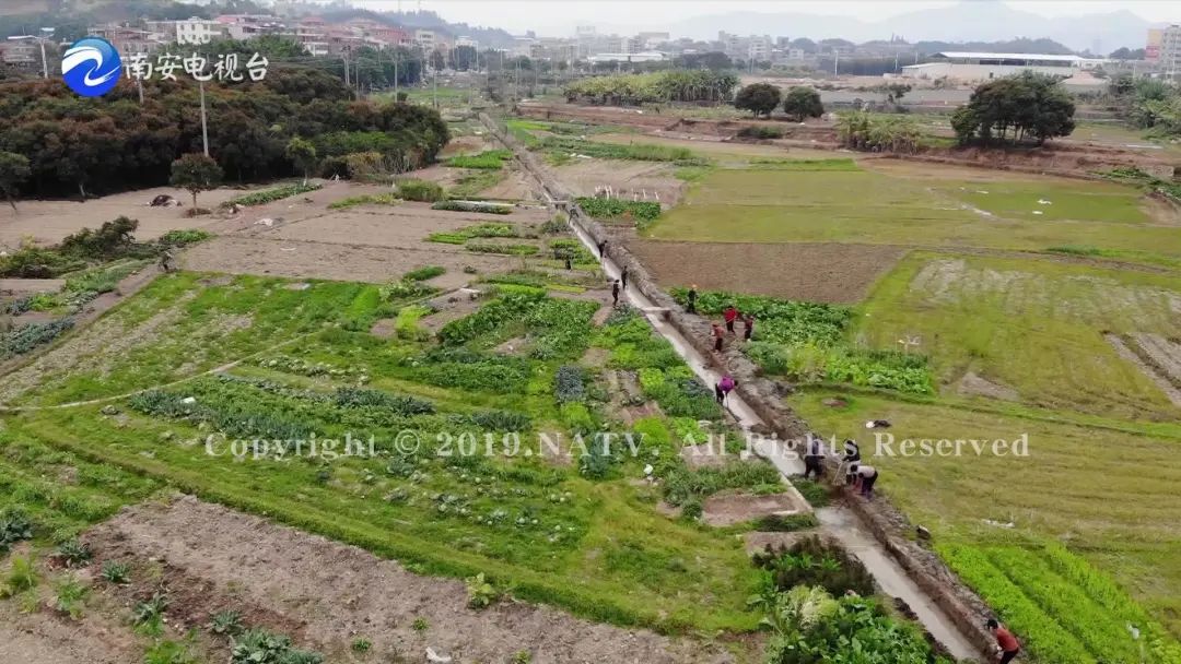 南安清理水渠忙备耕多彩田园春意浓