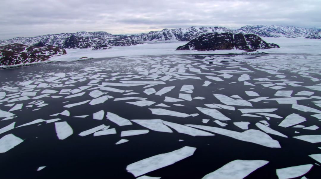 南极“发烧”了，未来该何去何从？