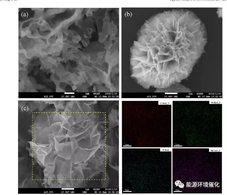 球花状niogc3n4异质结用于co2的光催化还原