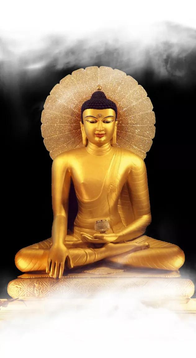 恭迎释迦牟尼佛出家日!佛陀的出家是娑婆世界最大的福报