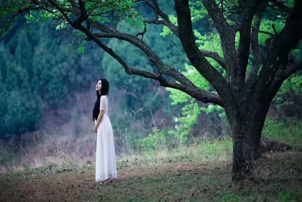 你安好,我无恙,岁月就会花开
