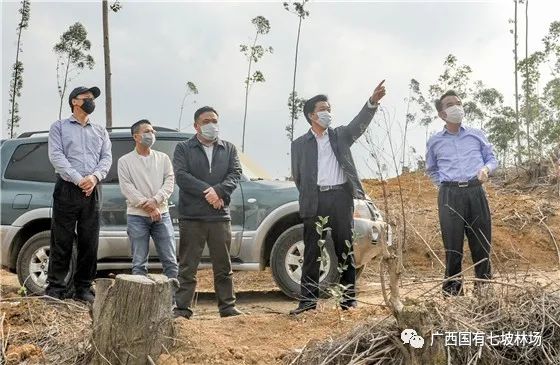 蒋桂雄:精心打造油茶"双千"基地