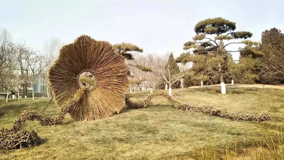 地景艺术,也不总是充满艺术家的思考与设计,可以是你心情好的时候