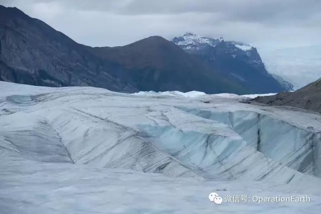 国际北极熊日 | 全球气候变化下的
