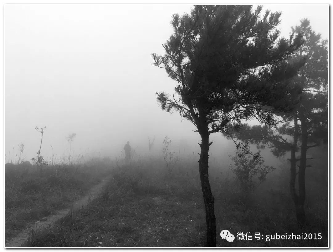 像《旷野》,《土地》,《冬天的沼泽》,《青色的池沼》等,可以说是20