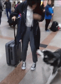 495d439e97254deebc00bd00a9f95a45.gif