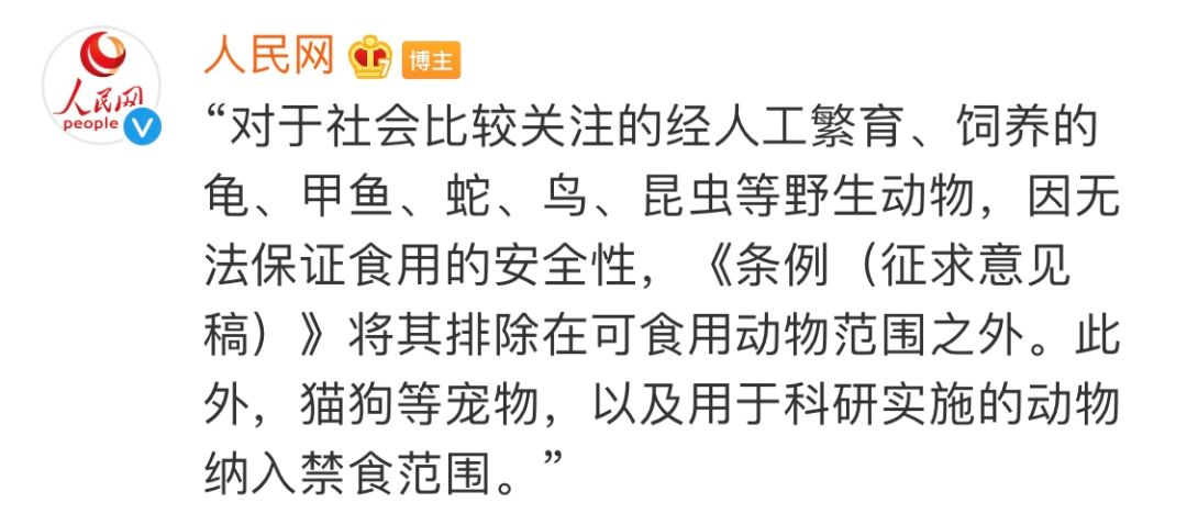 重磅！人民网：深圳或将禁食猫狗，违者可能被判违法！