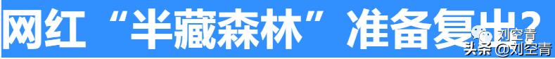 天惹！前男友车祸身亡后三个月被扒出是半藏森