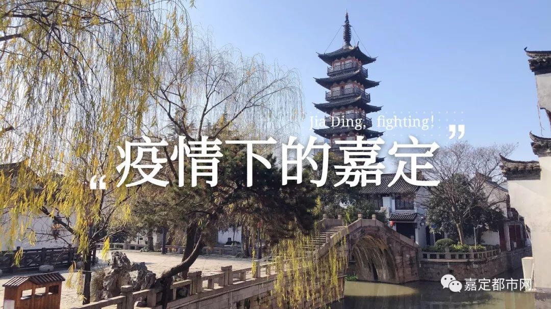 嘉定区初中排名2020_2020年嘉定区义务教育阶段学校(小学、初中)招生入学(2)