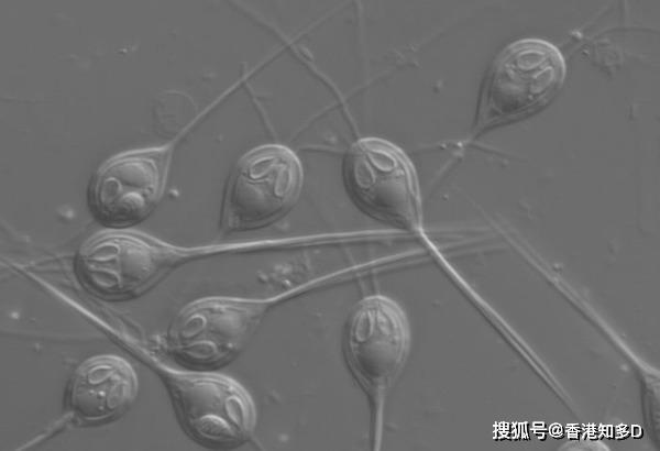 咋样吸氧气 6031e419d6814fe9a23f878b4ff70a5a.jpeg