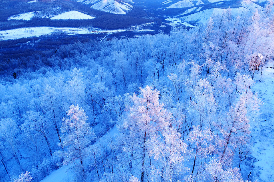 1/ 6 大兴安岭冬季原始森林冰雪风光,林海雪原雪林雪景,雪野密林树林