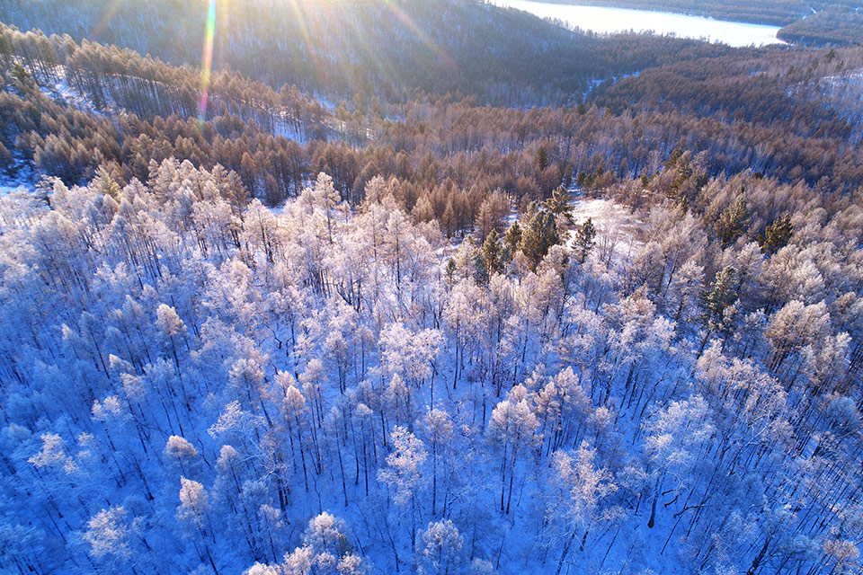 航拍大兴安岭冬季雪色山林暖阳