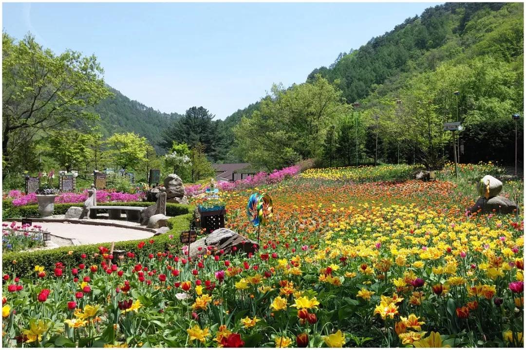 是韩国最早以香草为主题的观光旅游农园 庄园是由各种不同主题的