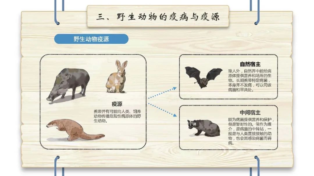 科普野生动物疫源疫病防控知识手册